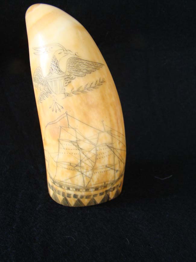 A wonderful American scrimshaw sperm whale's tooth circa 1850